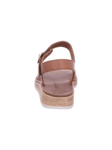 Paul Green Sandalen für Damen in mittel-braun