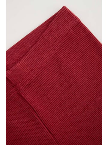 Coccodrillo Rippstrumpfhosen mit langen Beinen in dunkelrot