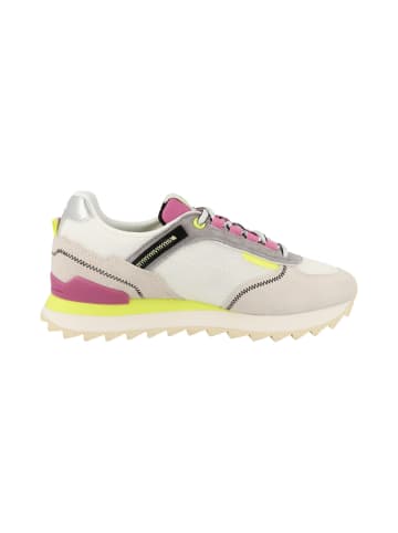 COLMAR Sneaker low Travis Sport Crisp in weiss
