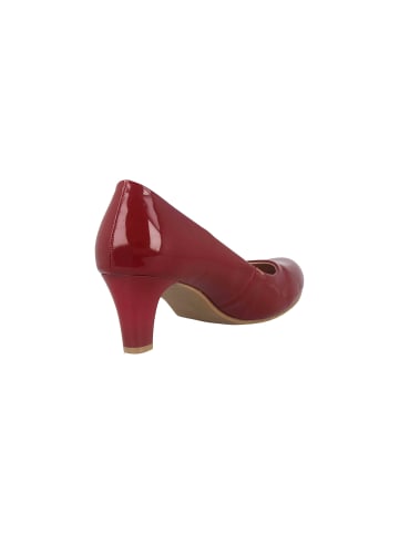 LadyPepp Pumps in Bordeaux