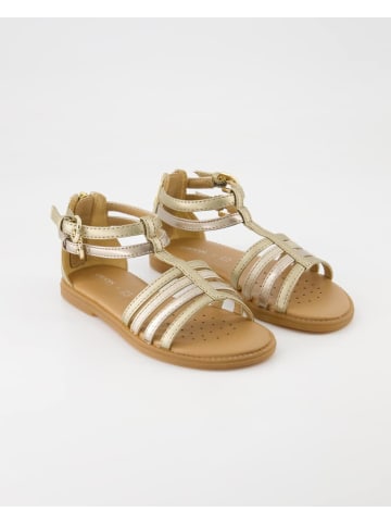 Geox Sandalen in Gold