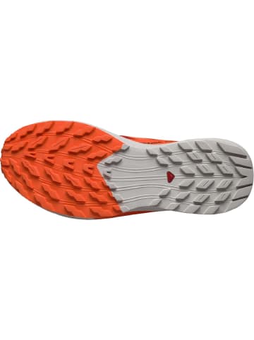 SALOMON Laufschuhe SHOES SENSE RIDE in Orange