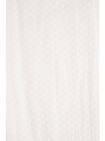 Coccodrillo Strumpfhose in weiß