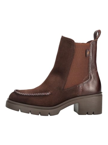 Hispanitas Stiefelette CHICAGO-6 CHICAGO-6 in Espresso
