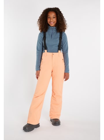 Protest " SUNNY JR in Warm Sun