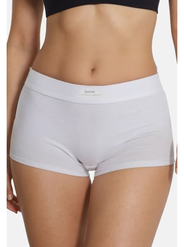 SPEIDEL Panty Cotton Sport in Weiß / schwarz