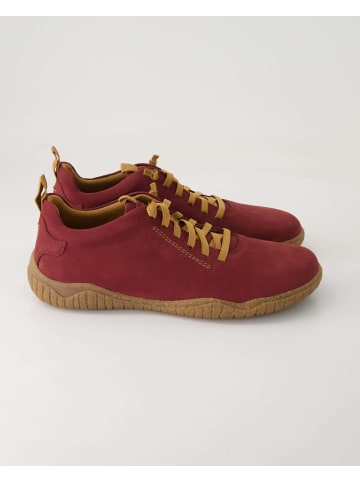 Josef Seibel Slip On Sneaker in Bordeaux
