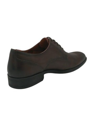 Pikolinos Business Schnürschuhe in Braun