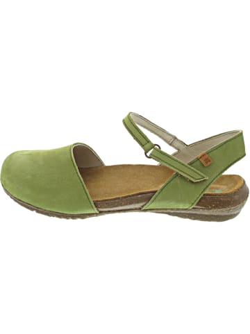 El Naturalista Wakataua Sandale Grün