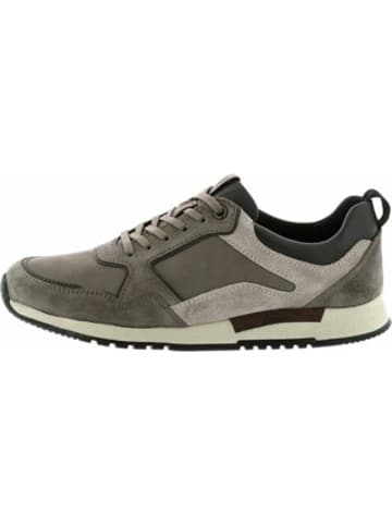 Sioux Sneaker für Herren in grau in grau