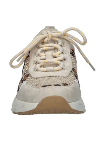 La Strada Sportliche Schnürschuhe in Beige