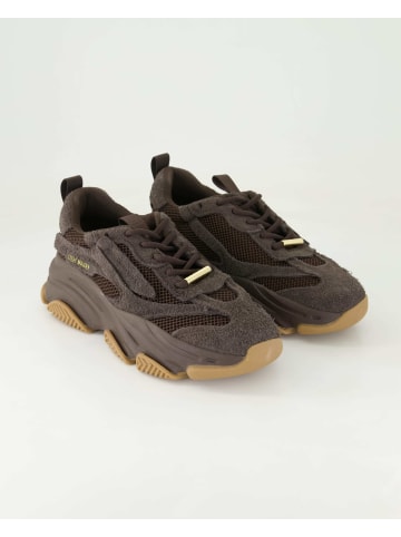 Steve Madden Sneaker low in Braun