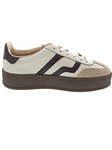 Gant Cuzmani Sneaker low Beige
