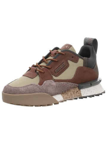 Replay Sneaker in braun