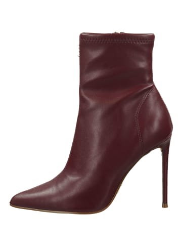 Steve Madden Stiefelette in Bordeaux