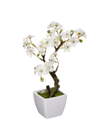 Atmosphera Créateur d'intérieur Künstliche Orchidee in weiß