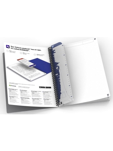 Oxford Kollegblock Office Essential B5 Softcover 90g/qm 90 Blatt punktkariert