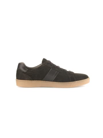 Pius Gabor Sneaker low in braun