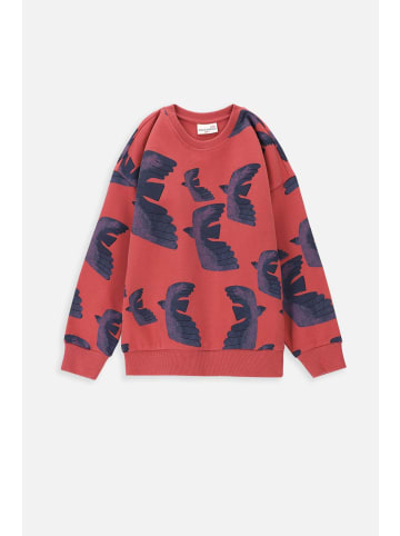 Coccodrillo Sweatshirt in dunkelrot