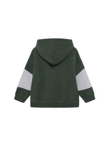 Noppies Sweater Hoodie in Garden Topiary