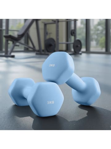 SONGMICS 2er-Set: Hanteln Stefan in Blau - (B)9 x (H)8.5 x (T)20 cm