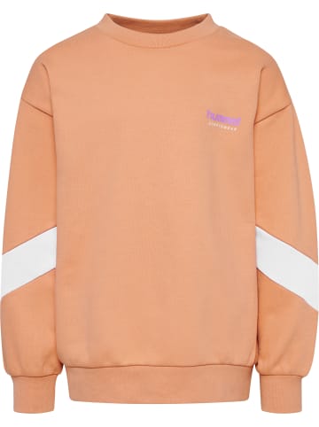 Hummel Hummel Sweatshirt Hmljr Oversized Kinder in PEACH BLOOM