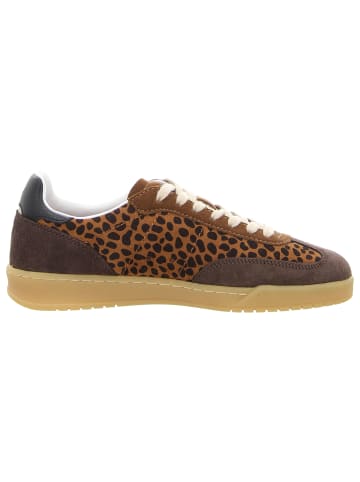 Sun68 Sneaker in braun