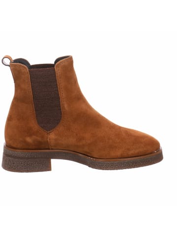 Paul Green Stiefeletten für Damen in braun