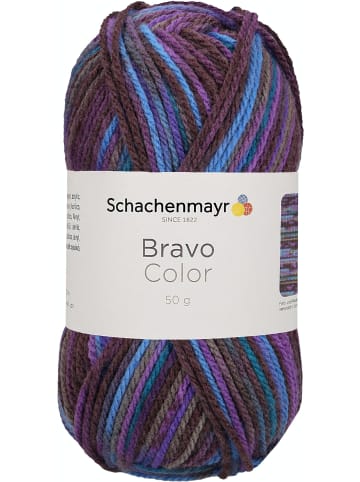 Schachenmayr since 1822 Handstrickgarne Bravo Color, 50g in Violett