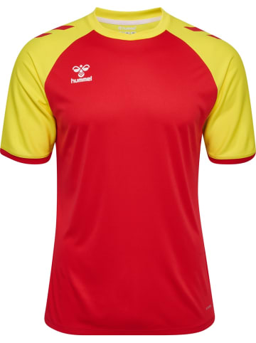 Hummel T-Shirt "Match League Jersey S/S" in Rot