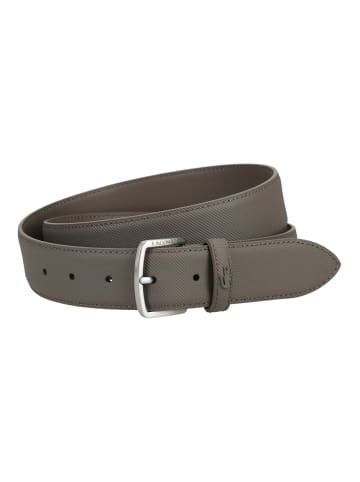 Lacoste Gürtel Braun