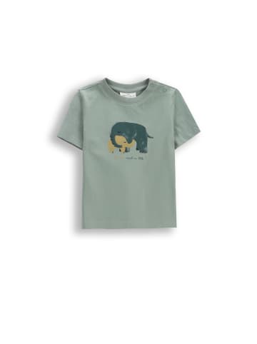 Coccodrillo T-Shirt mit kurzen Ärmeln in grün