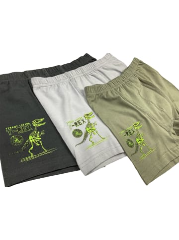 LOREZA 10er Set Boxershorts - T-Rex - Bunt