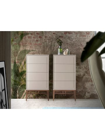Angel Cerdá Chiffonier 7036 in Walnuss / Grau – (B)60 x (H)120 x (T)45 cm