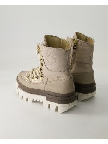 Canada Snow Schnürstiefeletten in Beige