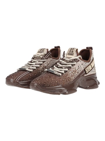 Steve Madden Sneaker MISTICA in Taupe/Braun