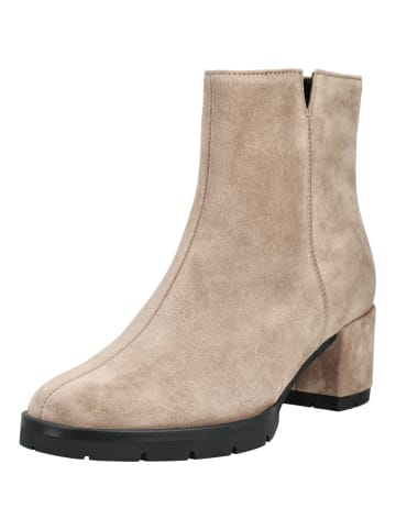 Högl Stiefelette in Taupe