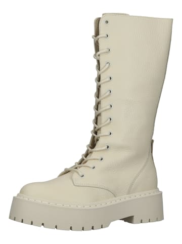 Steve Madden Stiefel in Bone