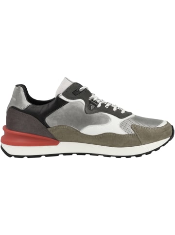 Pantofola D'Oro Sneaker low Treviso Runner Uomo Low in gruen