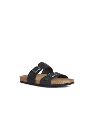 Geox Sandalen U in Schwarz