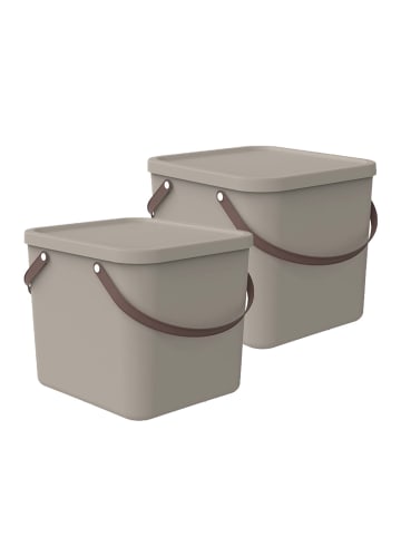 Rotho 2er-Set Aufbewahrungsbox 40l mit Deckel in Cappuccino