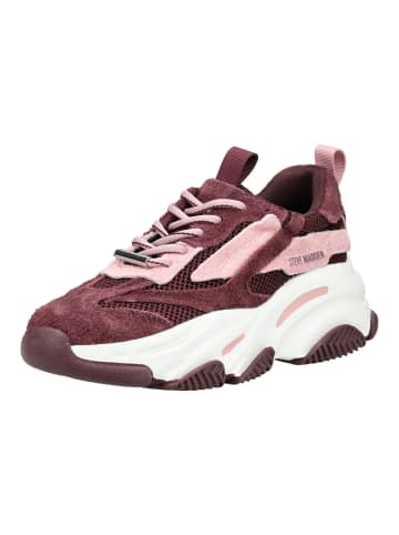 Steve Madden Sneaker in Cherry