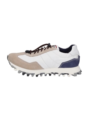 Josef Seibel Sneaker Clyde 01 in beige-blau