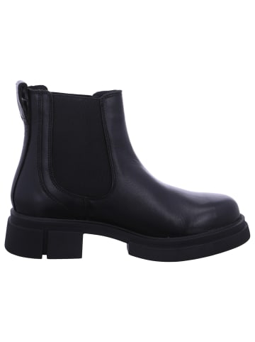 Apple of Eden Chelsea Boot  in Schwarz