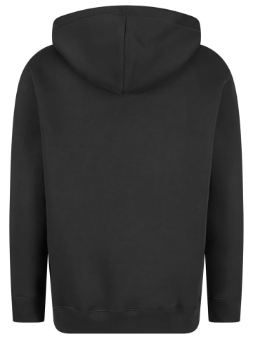 Alpha Industries Kapuzenpullover in black/gold