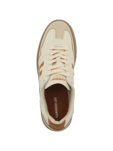 Flamingos Life Sneaker low Burela Bold in creme