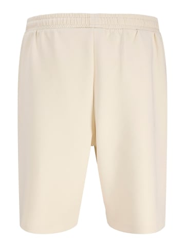 Jack & Jones Sweat-Shorts in Antique White