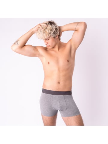 Occulto 5er Pack Boxershorts Bryan in GrauMix