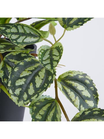 Butlers Kunstblume FLORISTA Plea Cadariiere in Grün