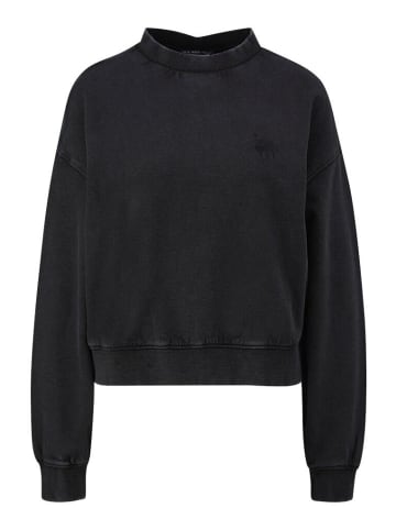 Q/S designed by Sweatshirt in Schwarz